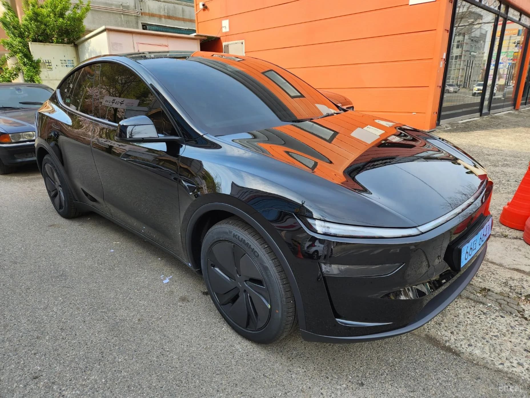 Model Y