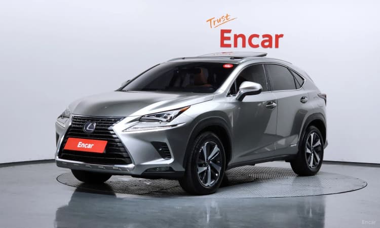 NX300h