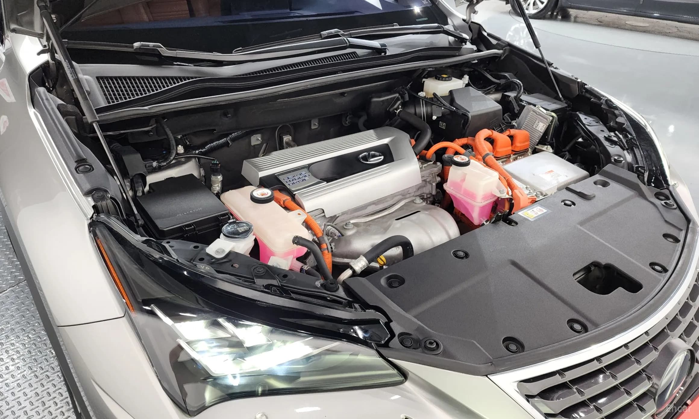 NX300h