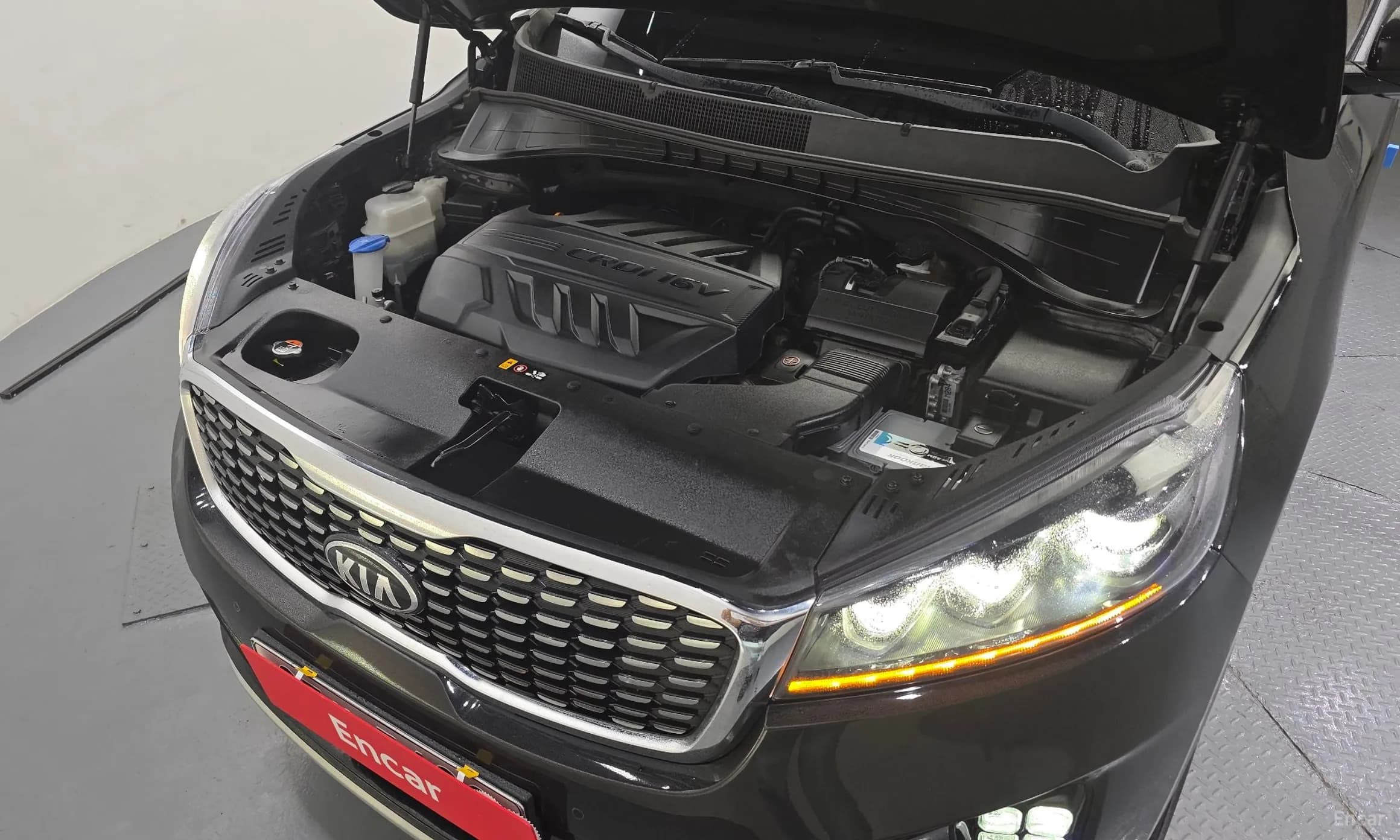 Sorento