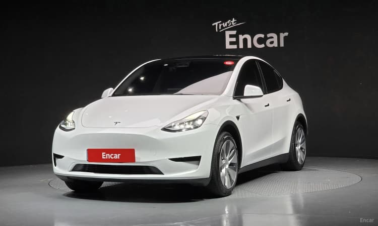 Model Y