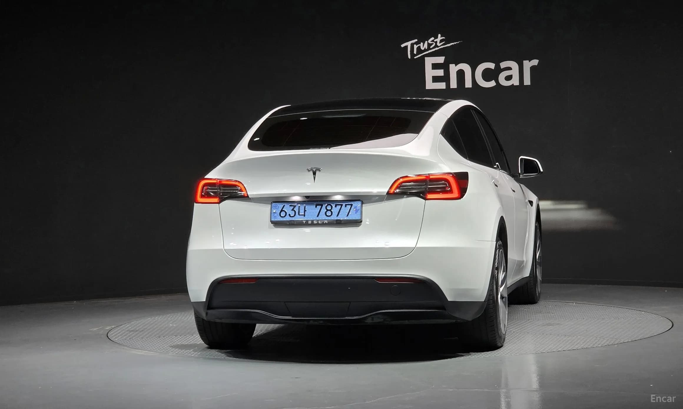 Model Y