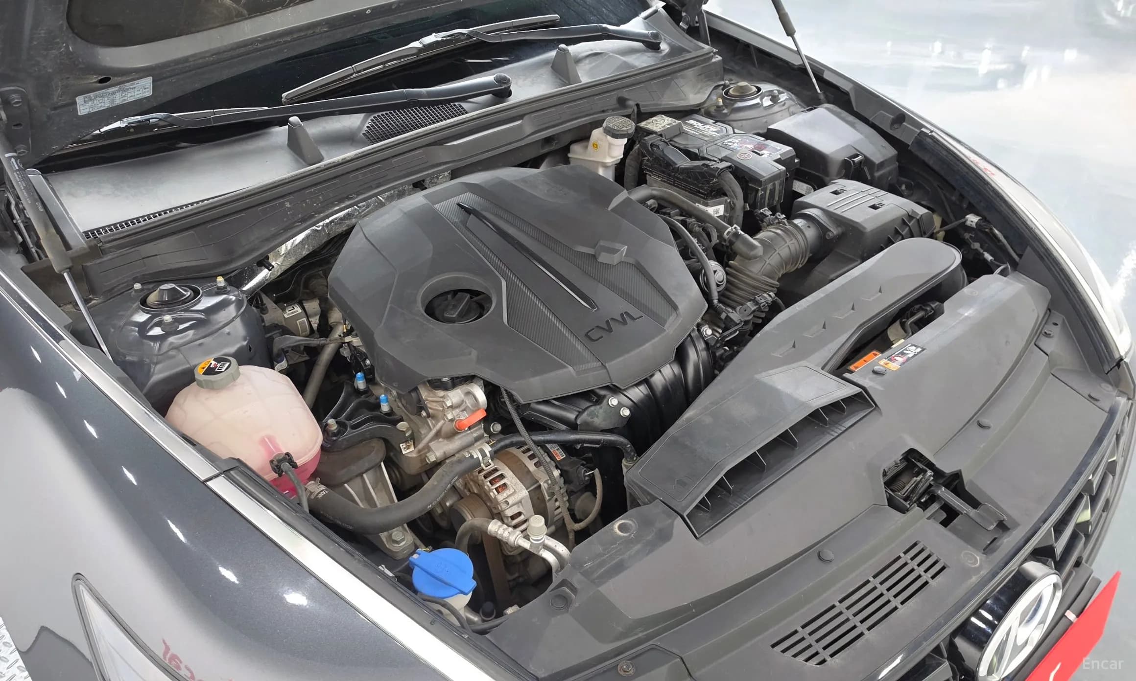 Sonata (DN8)