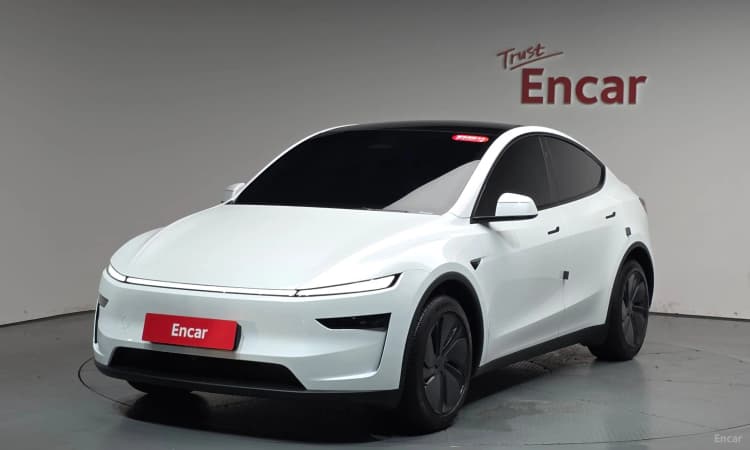 Model Y