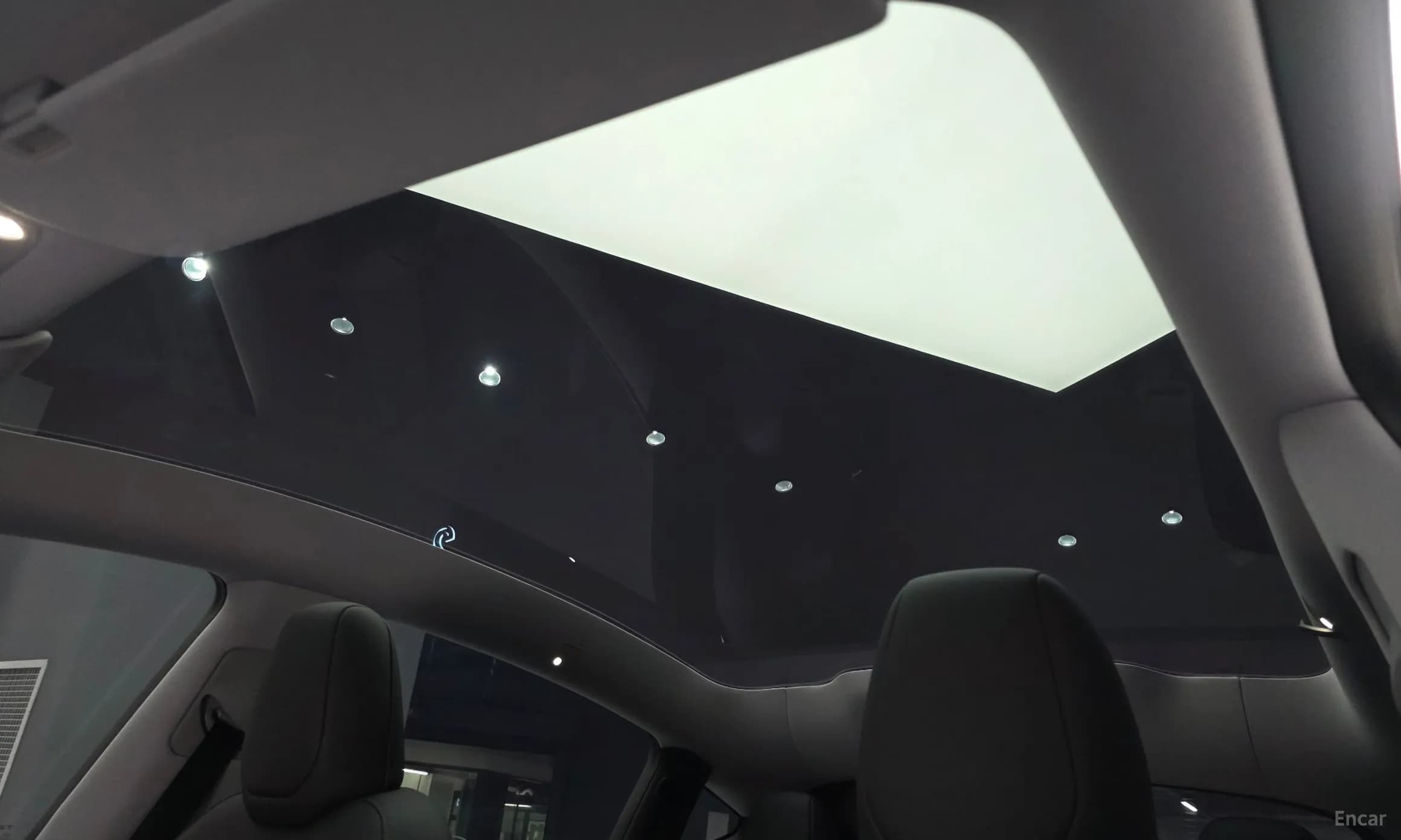 Model Y