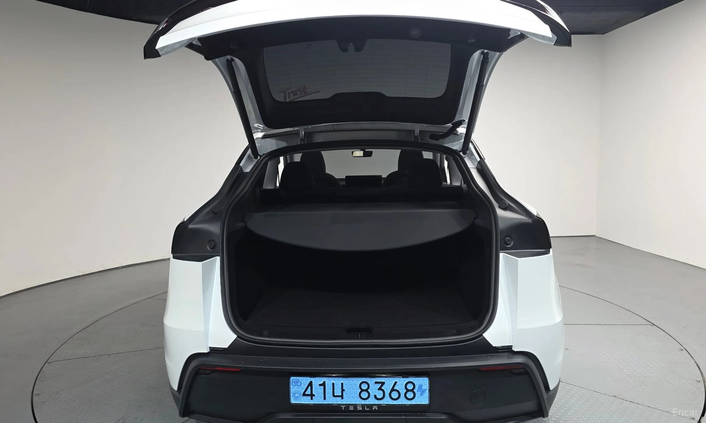 Model Y