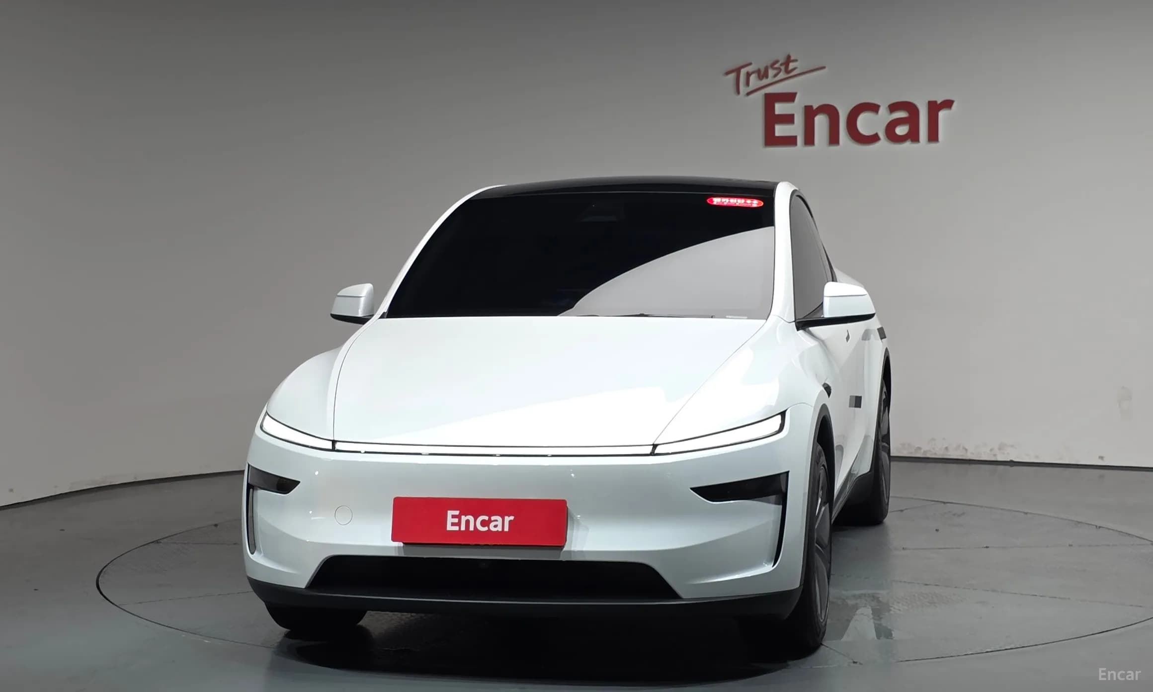 Model Y