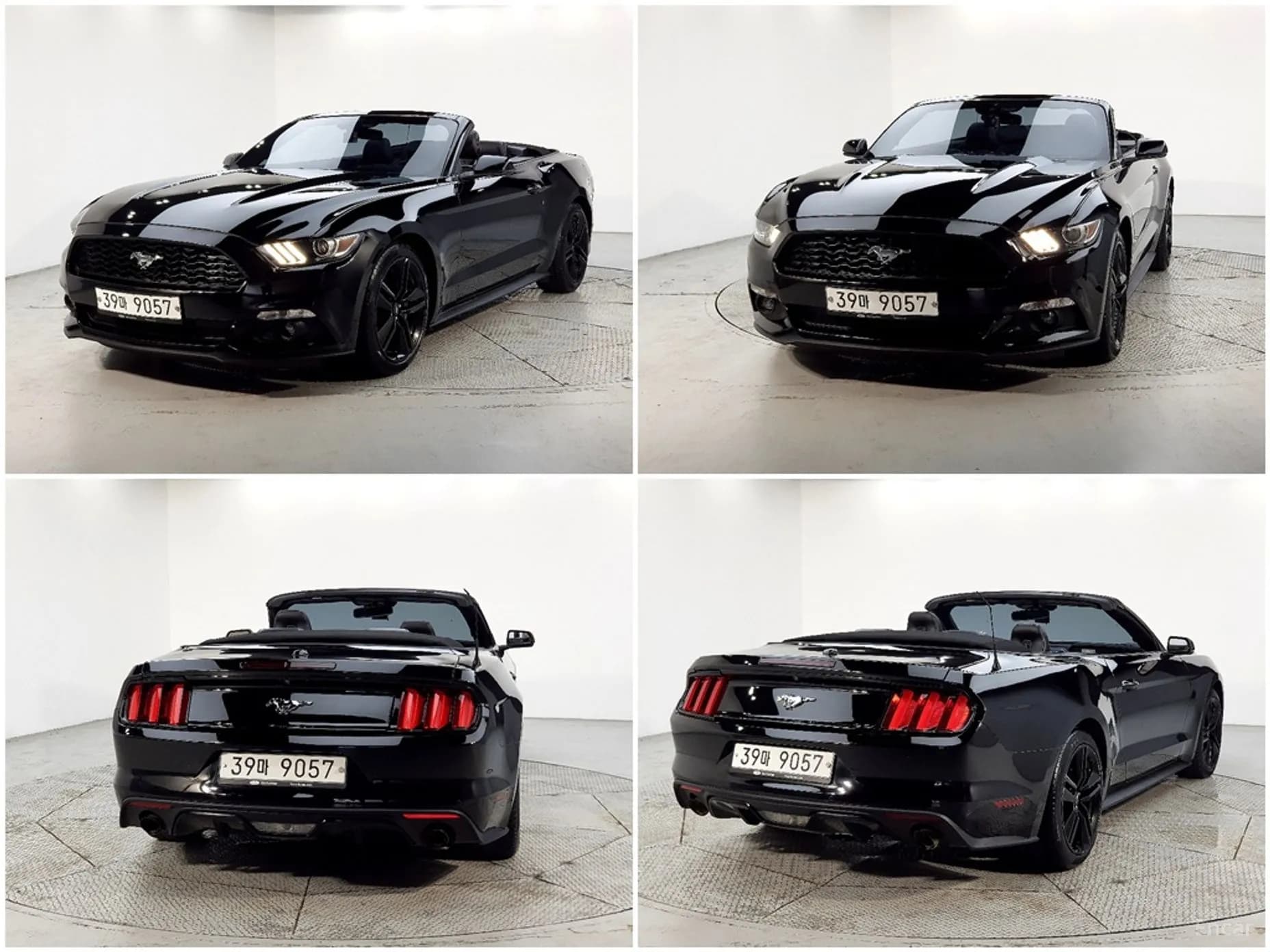Mustang