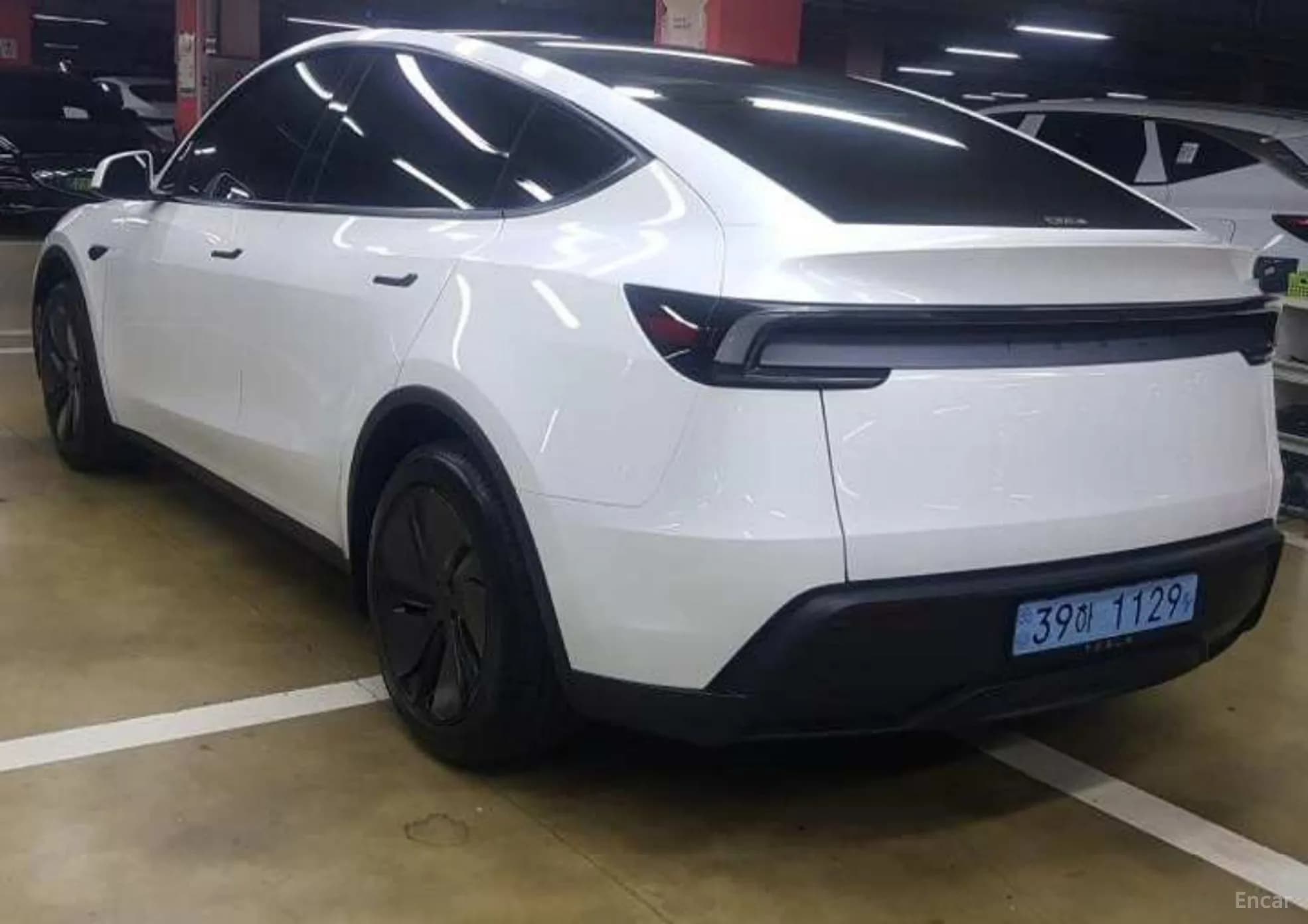 Model Y