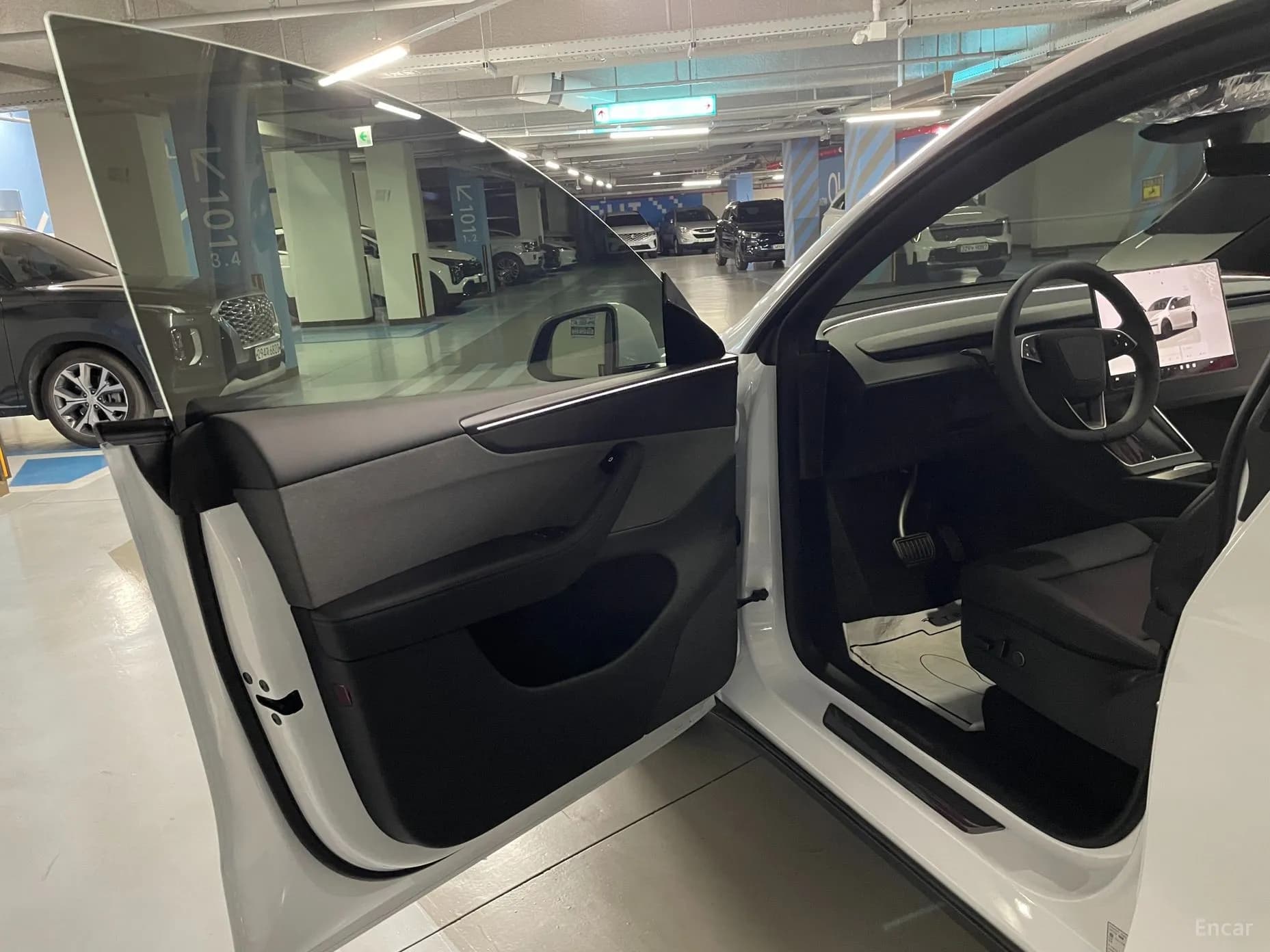 Model Y