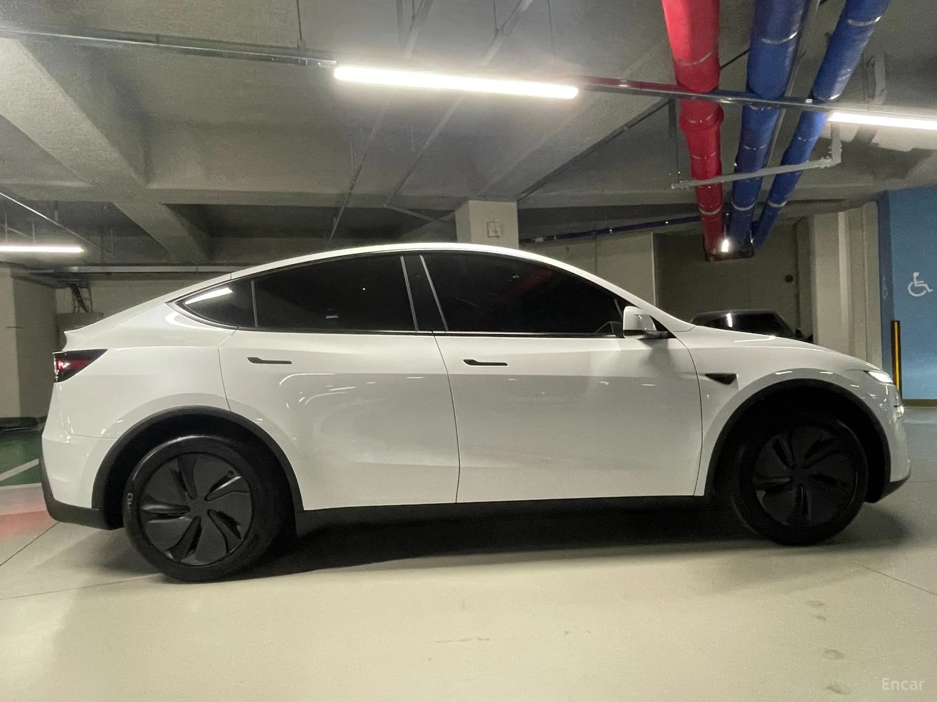 Model Y