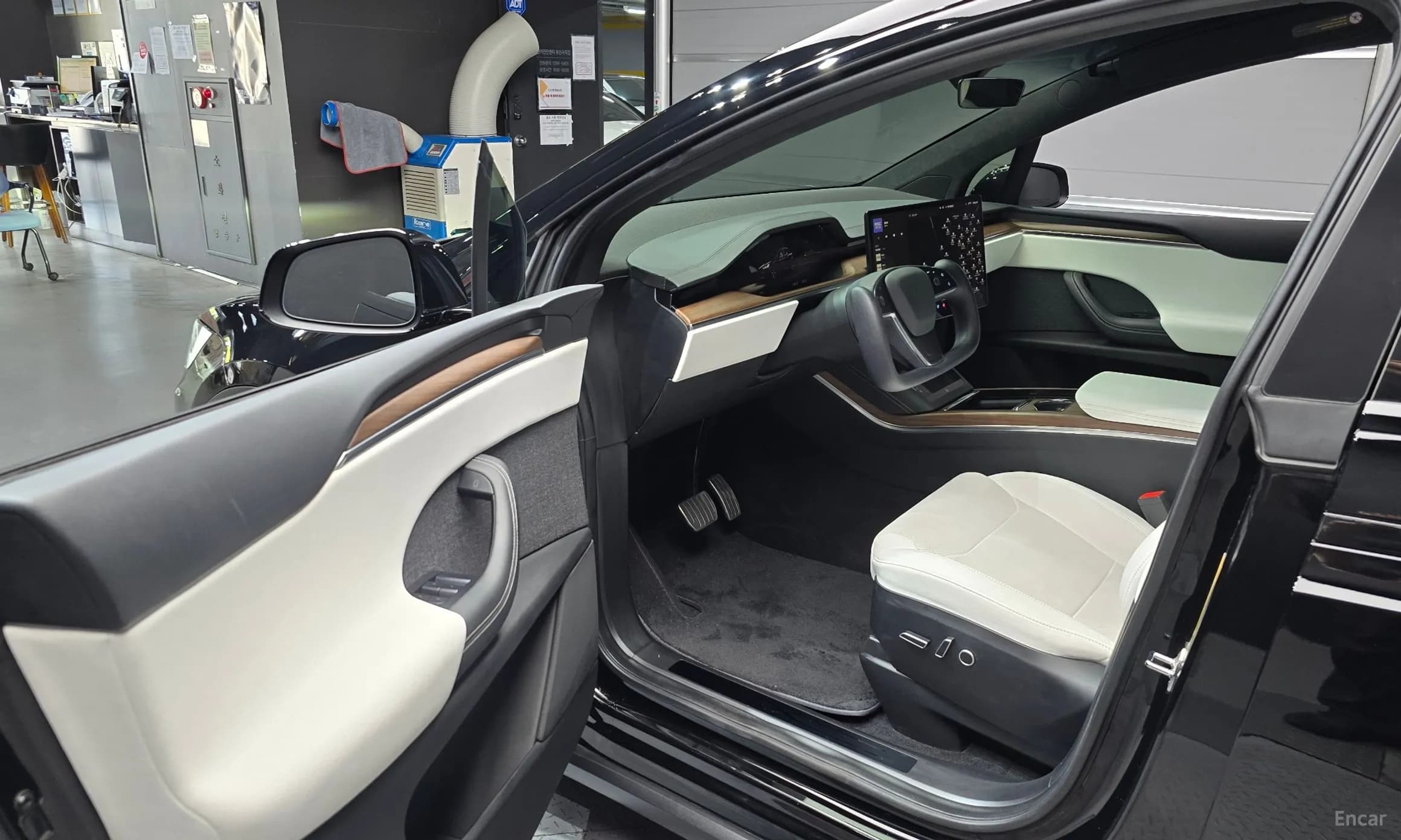 Model X