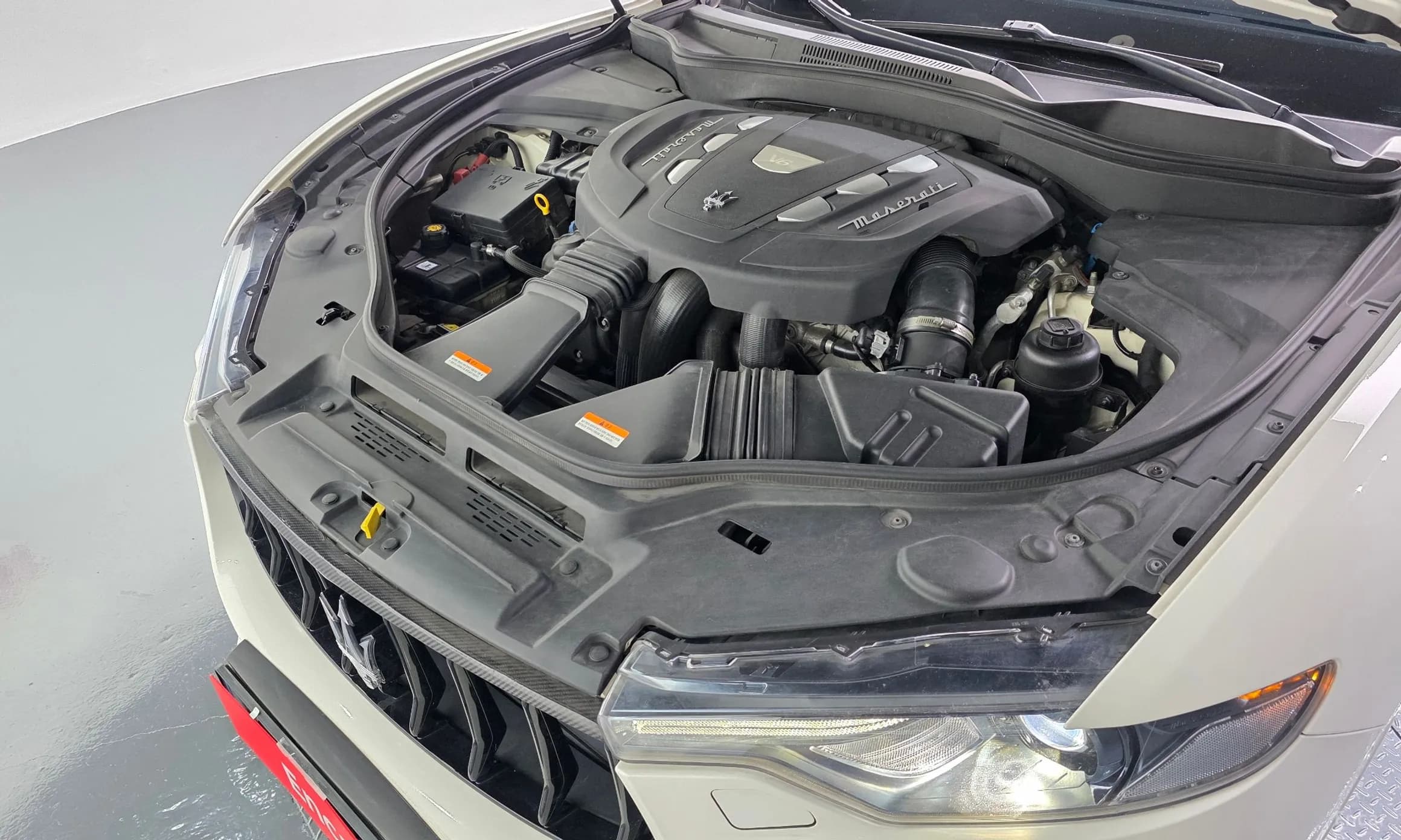Levante