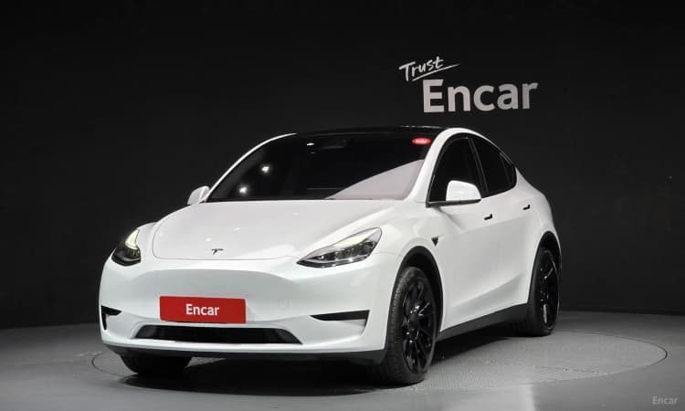 Model Y