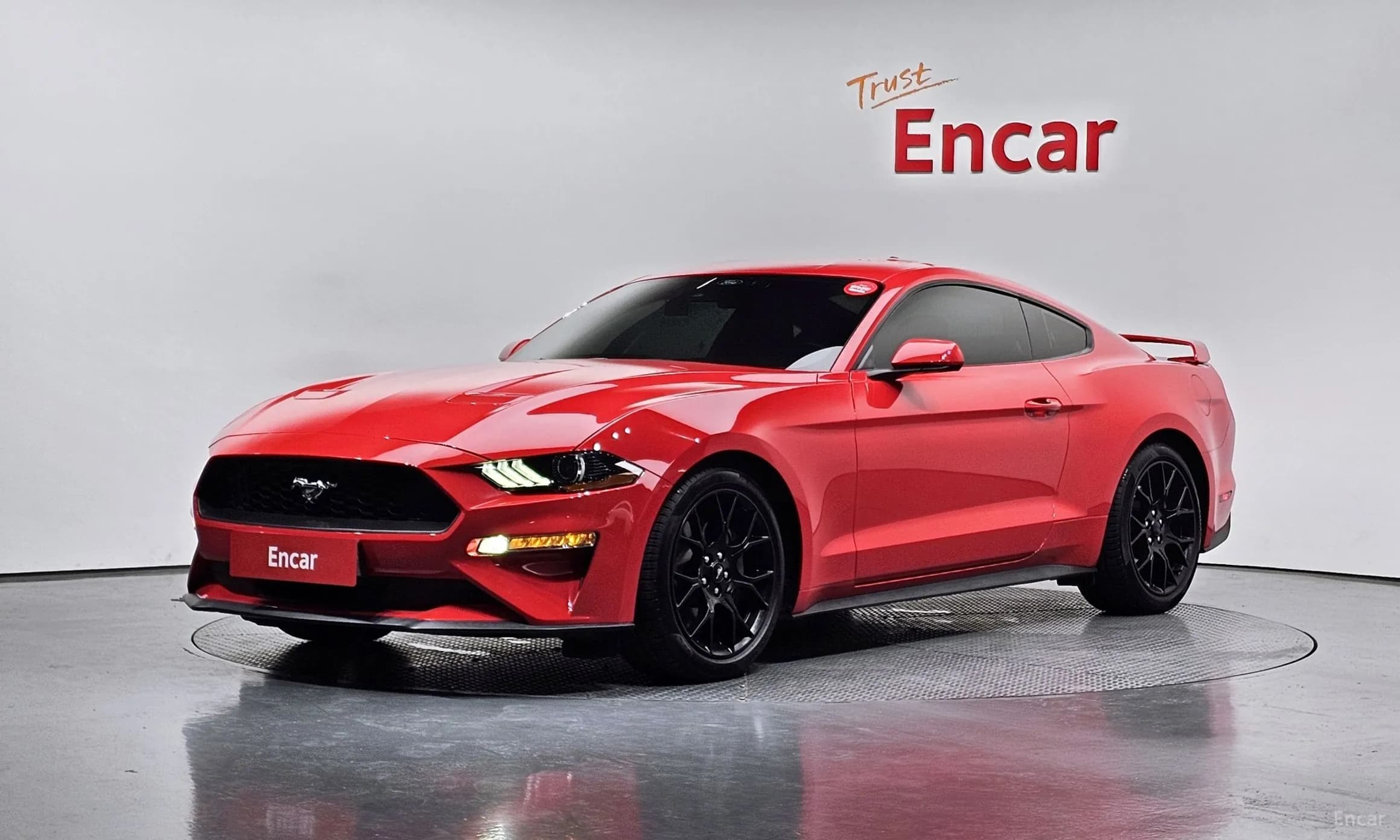 Mustang
