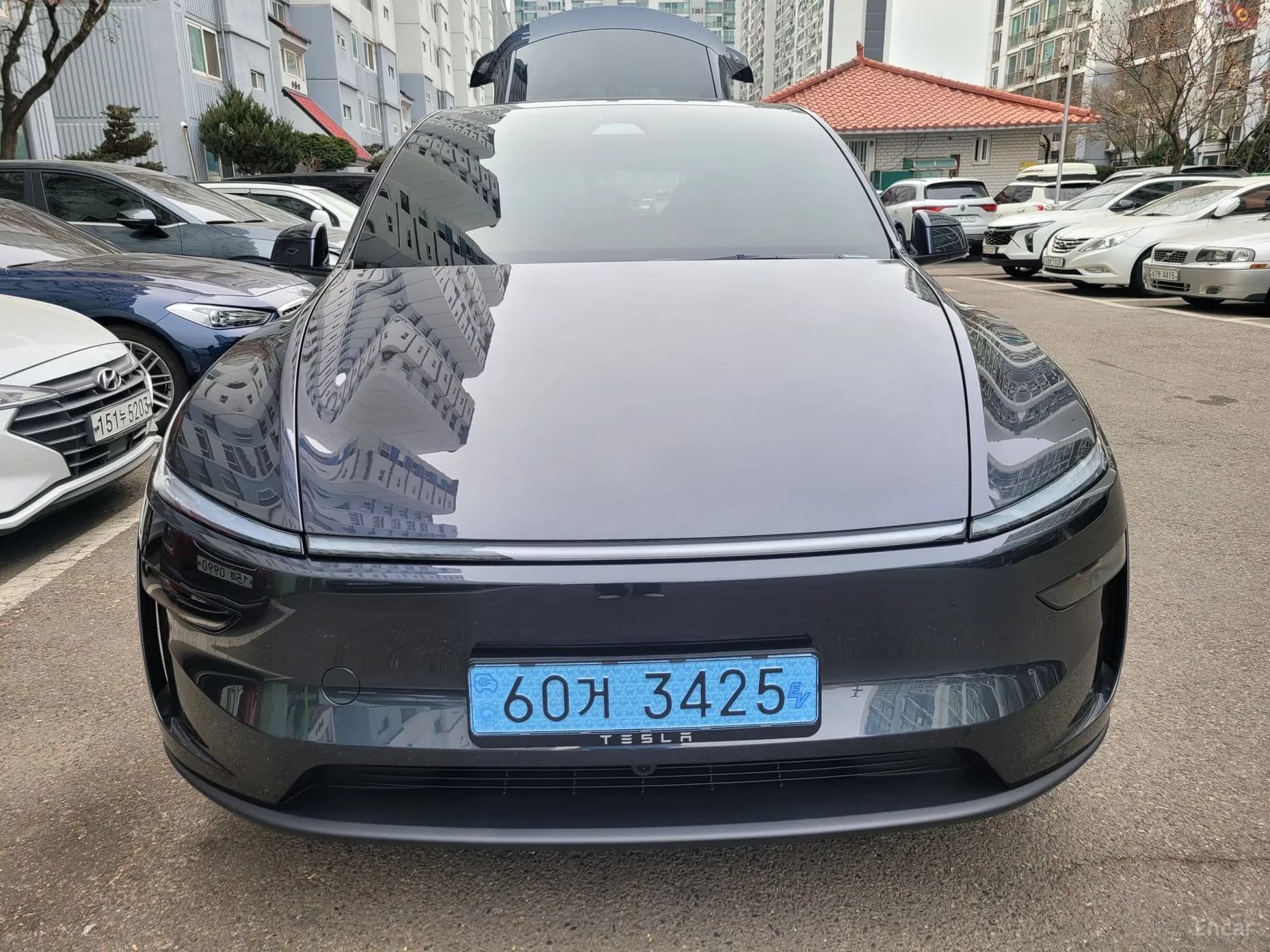 Model Y