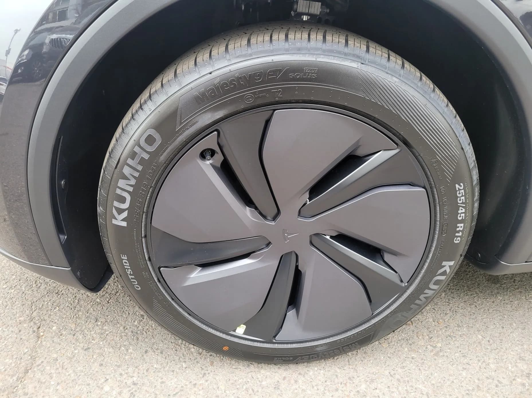 Model Y