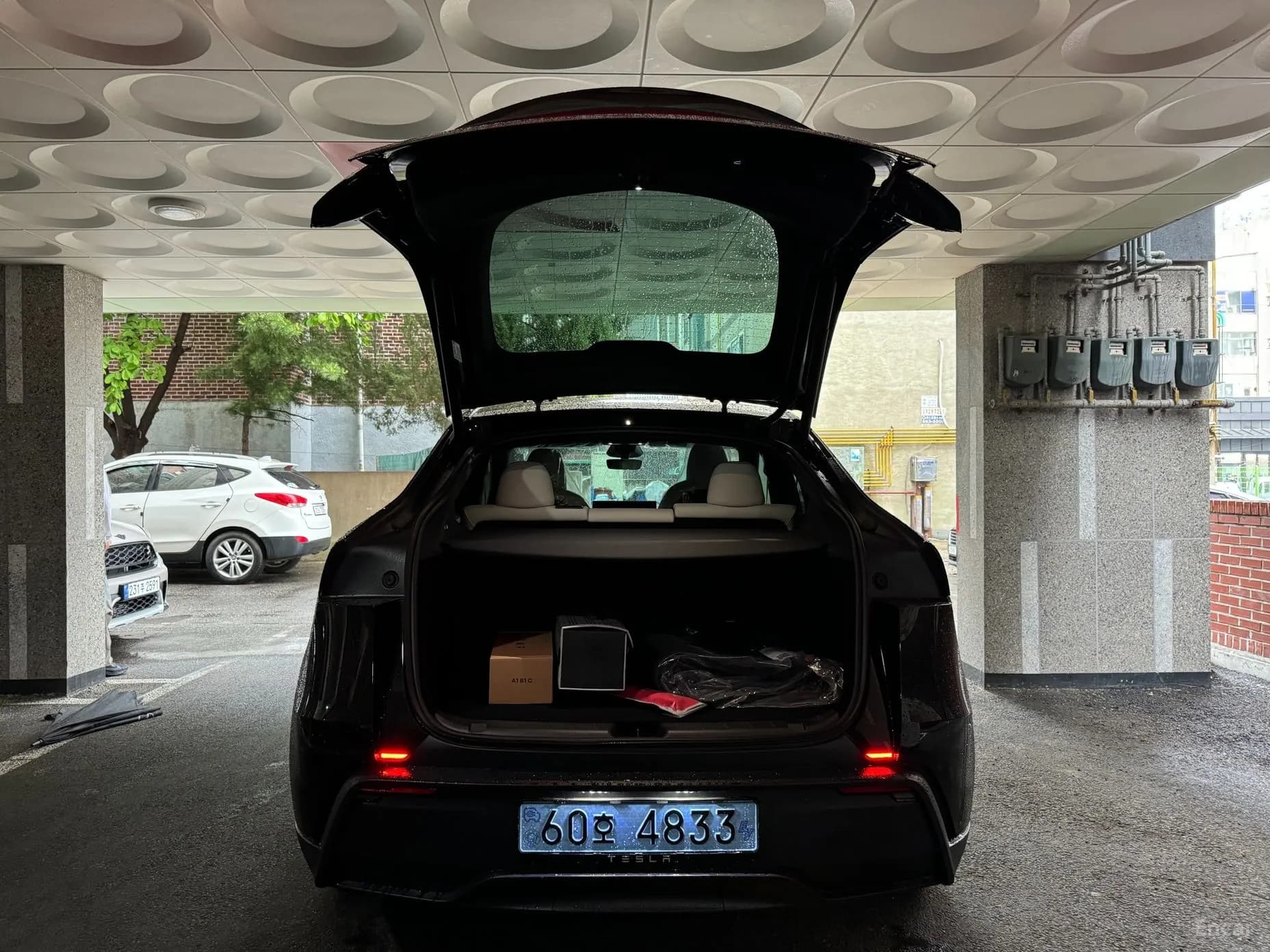 Model Y