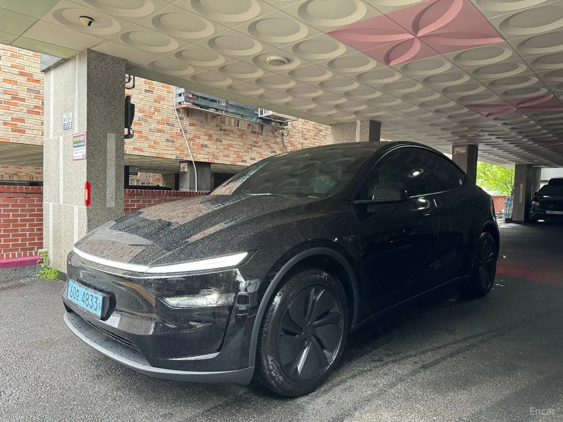 Model Y
