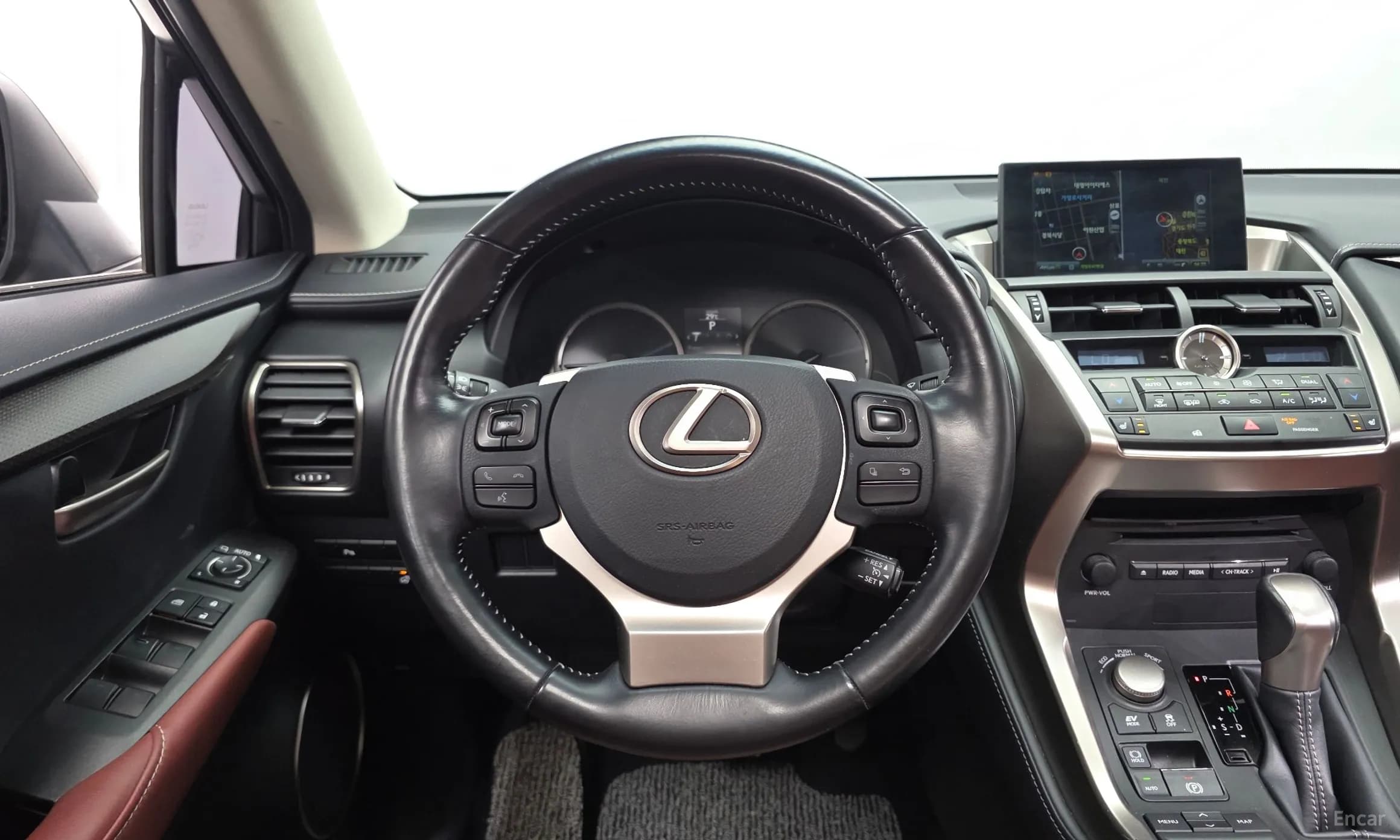 NX300h