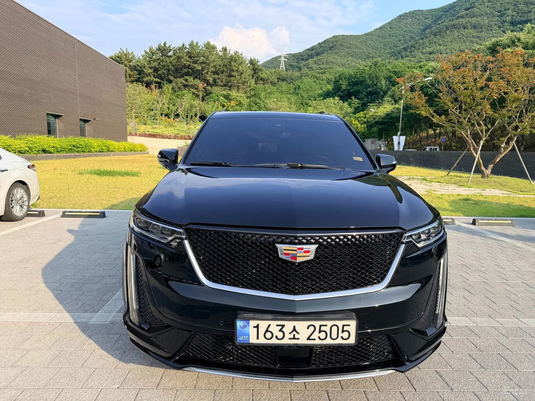 XT6