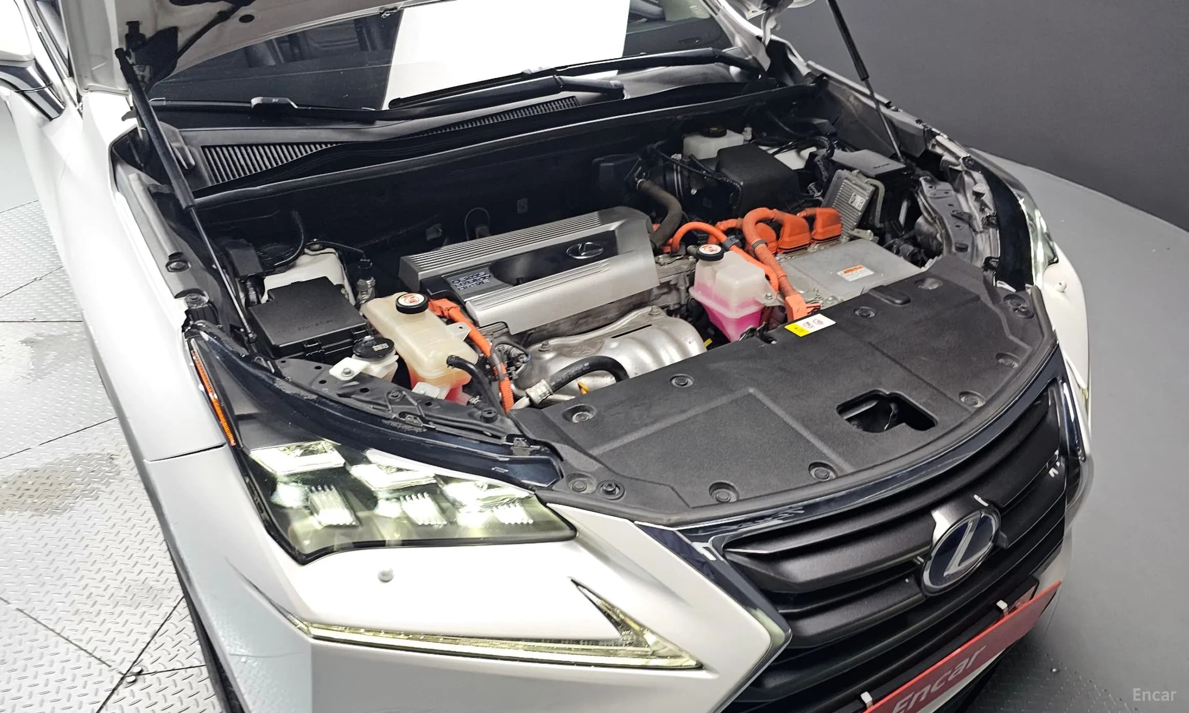 NX300h