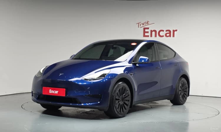Model Y