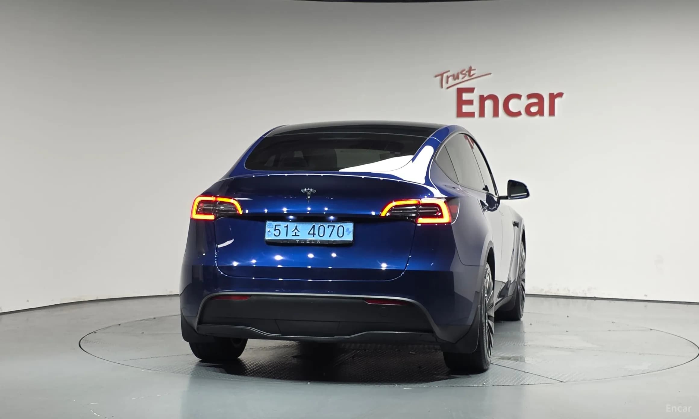 Model Y