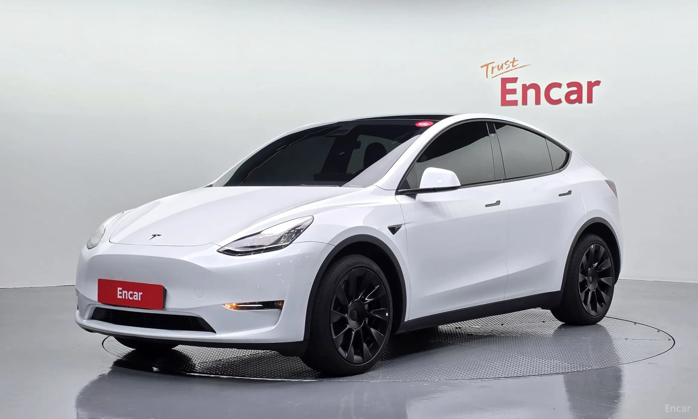 Model Y