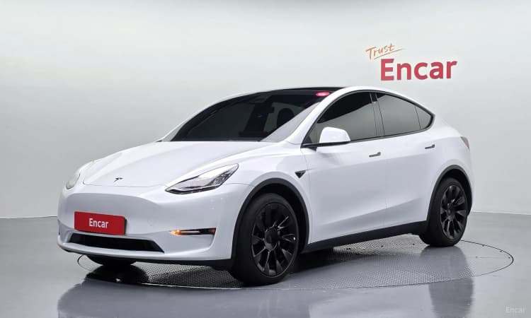 Model Y