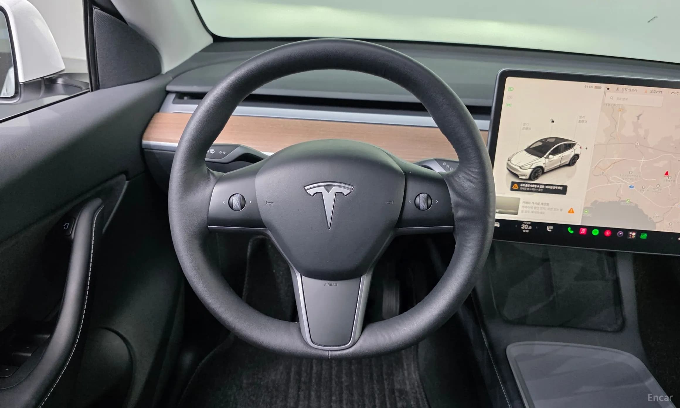 Model Y