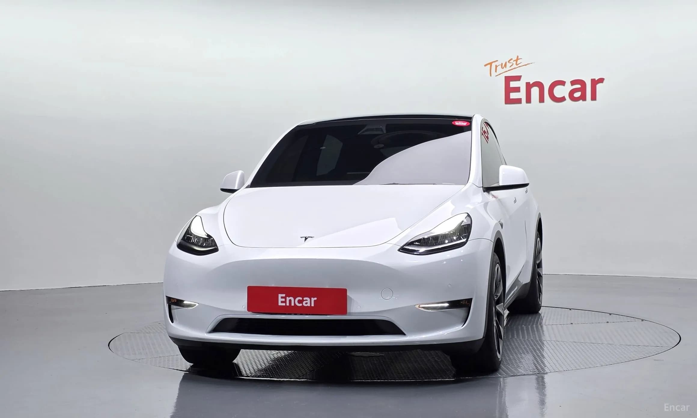 Model Y