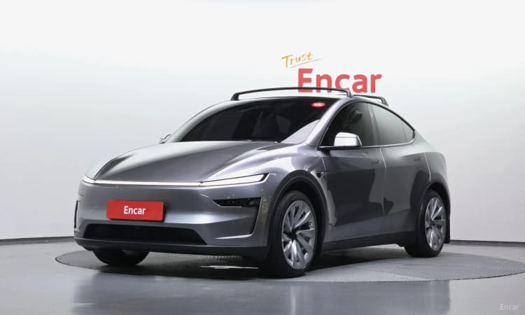 Model Y