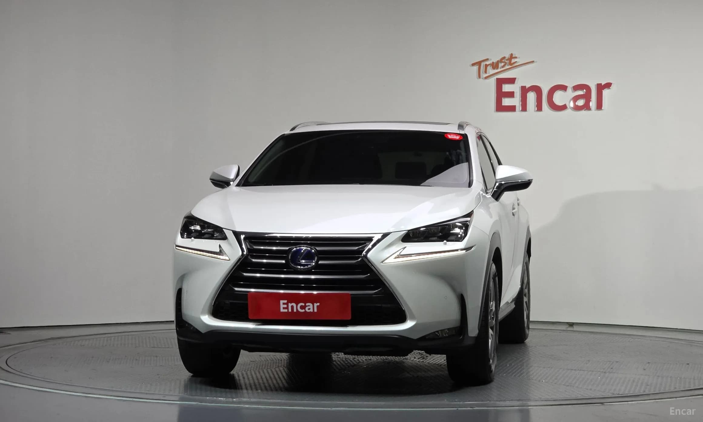 NX300h