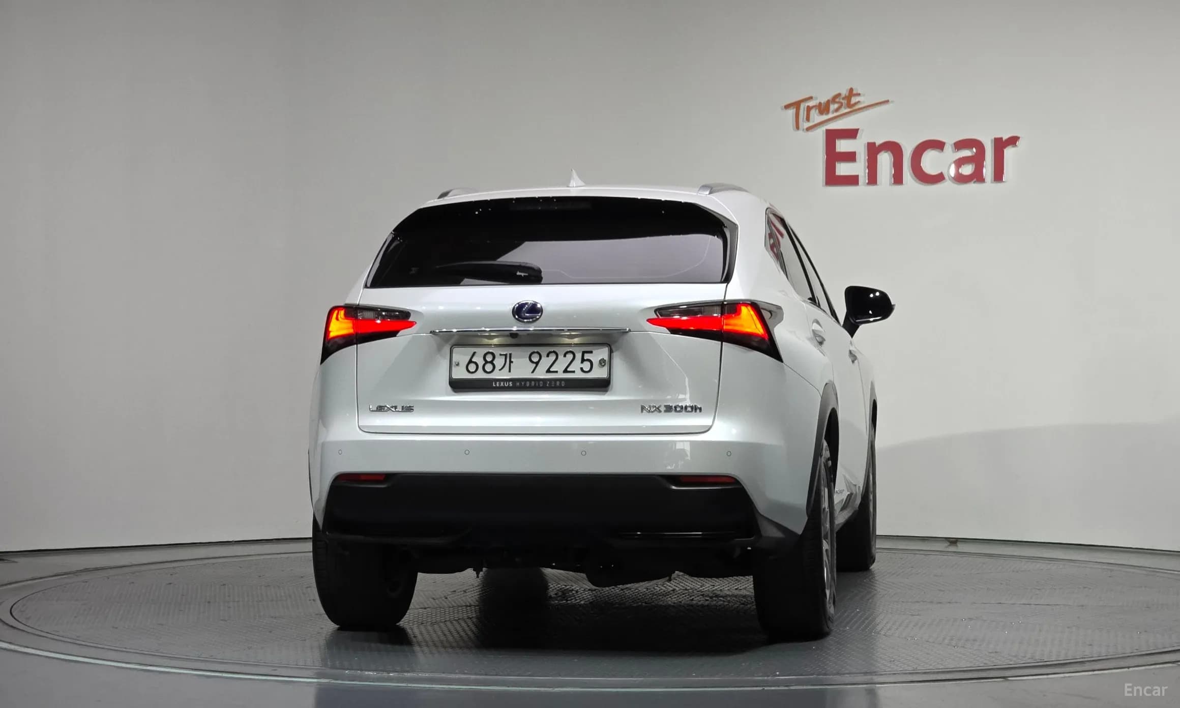 NX300h