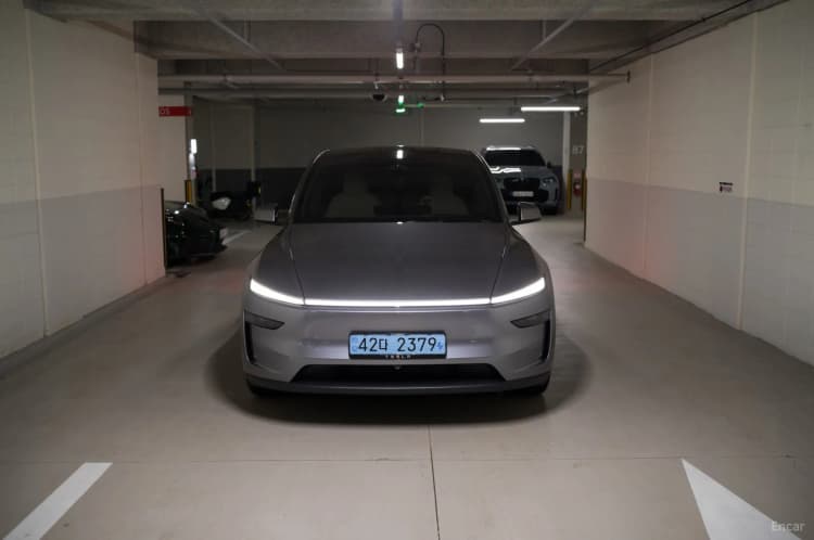 Model Y