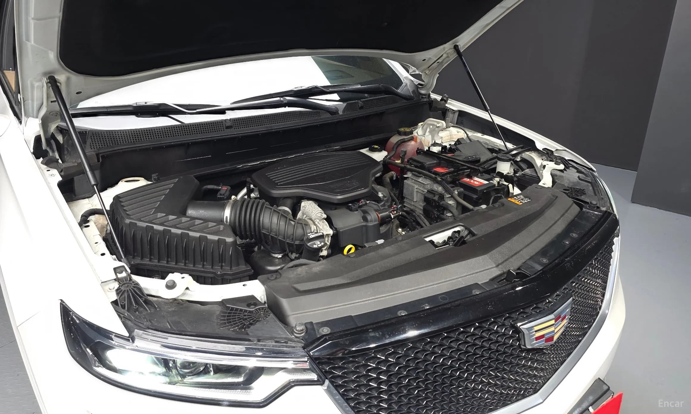 XT6