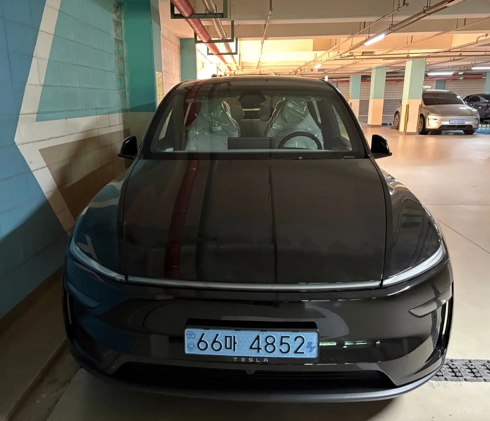Model Y