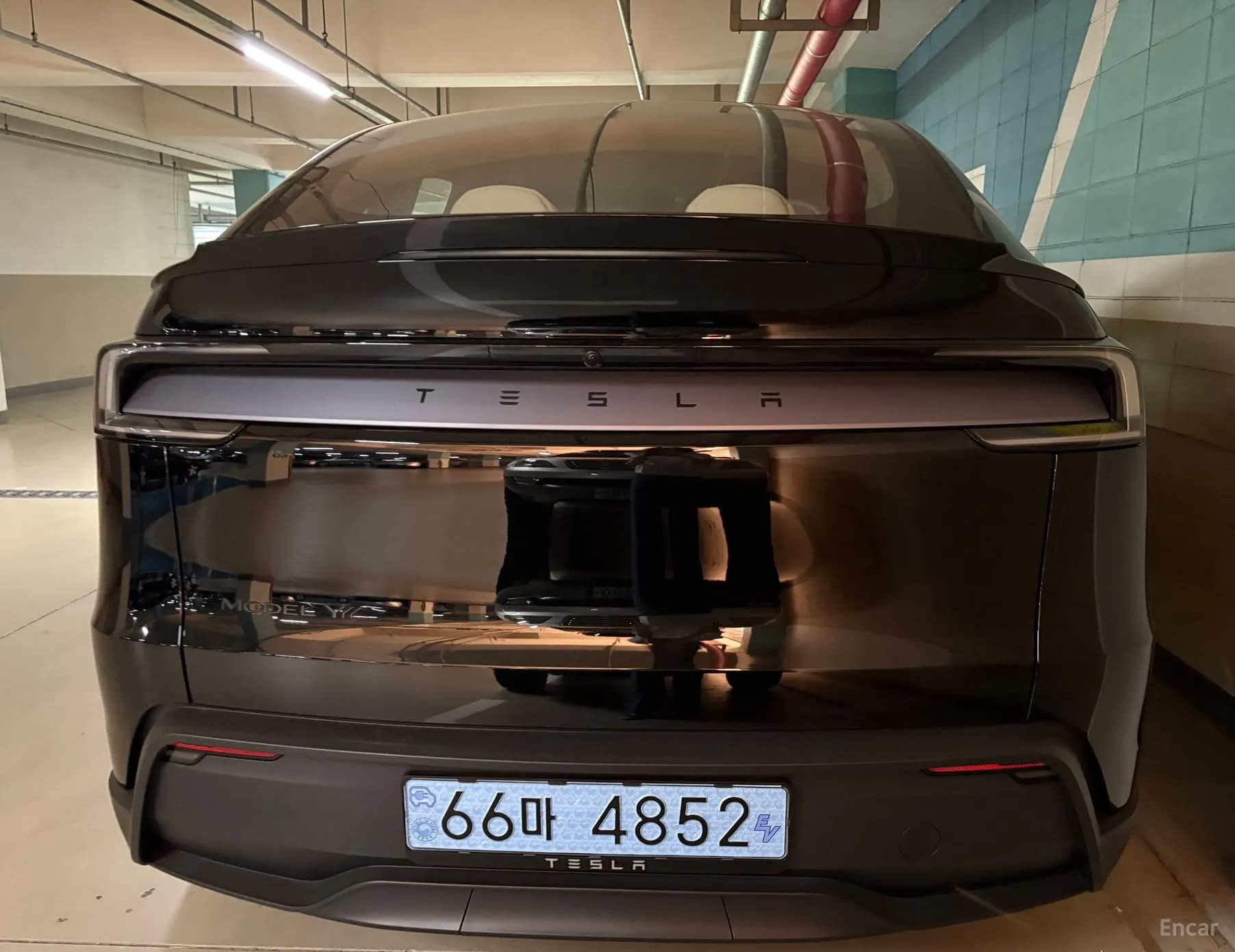 Model Y