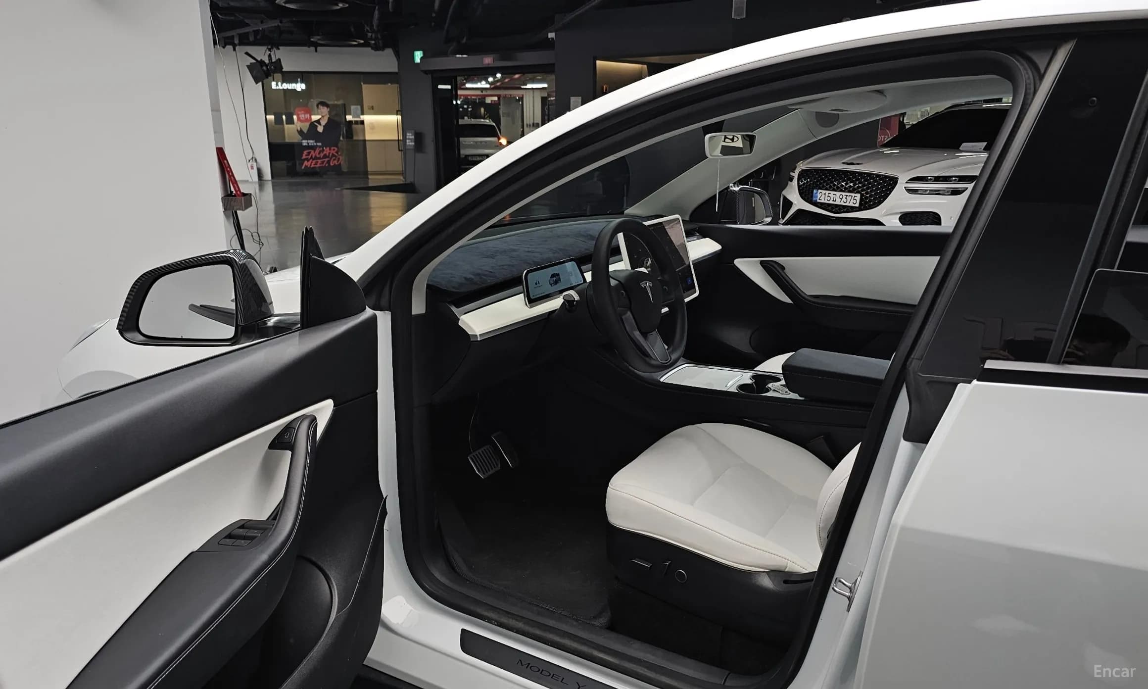 Model Y