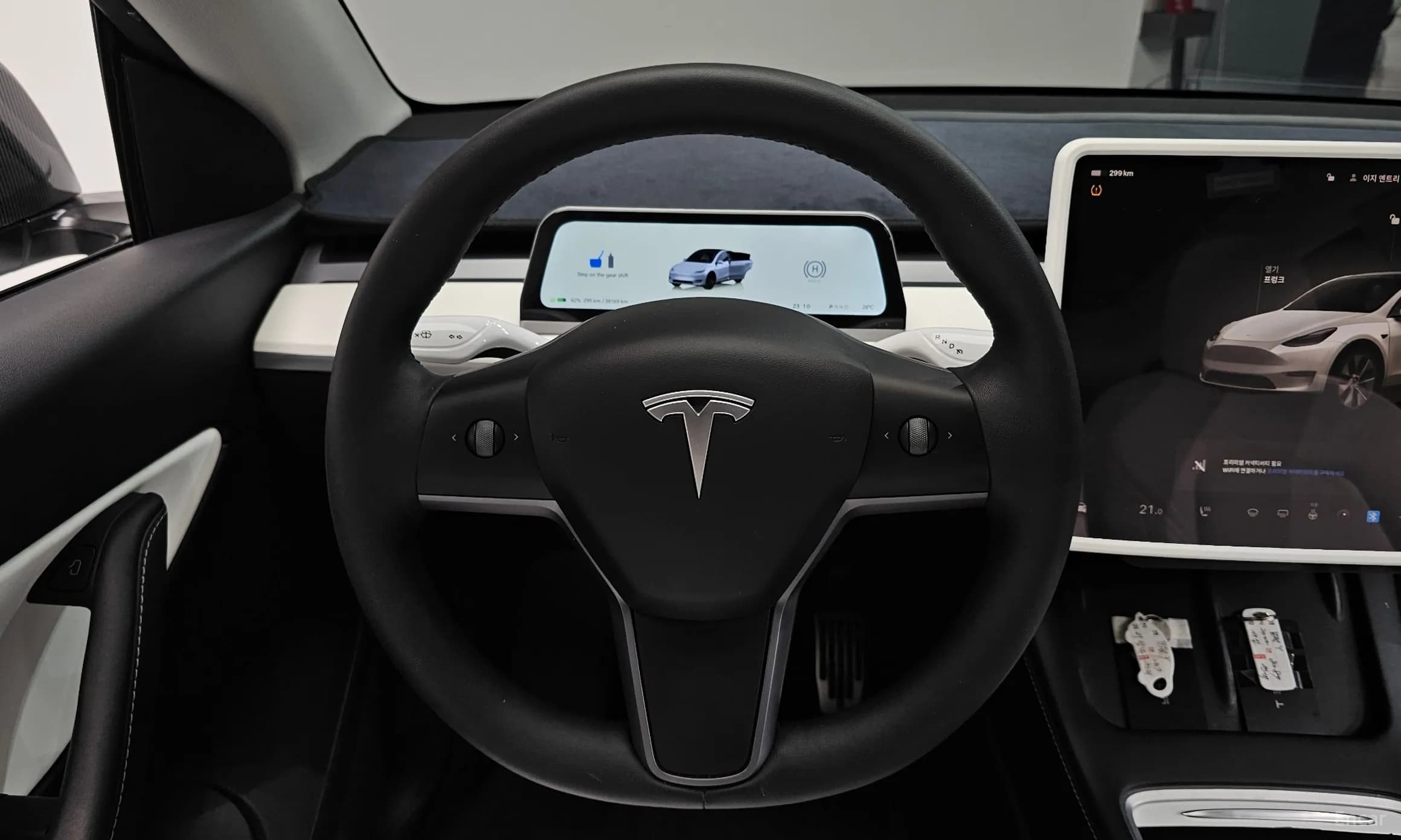 Model Y