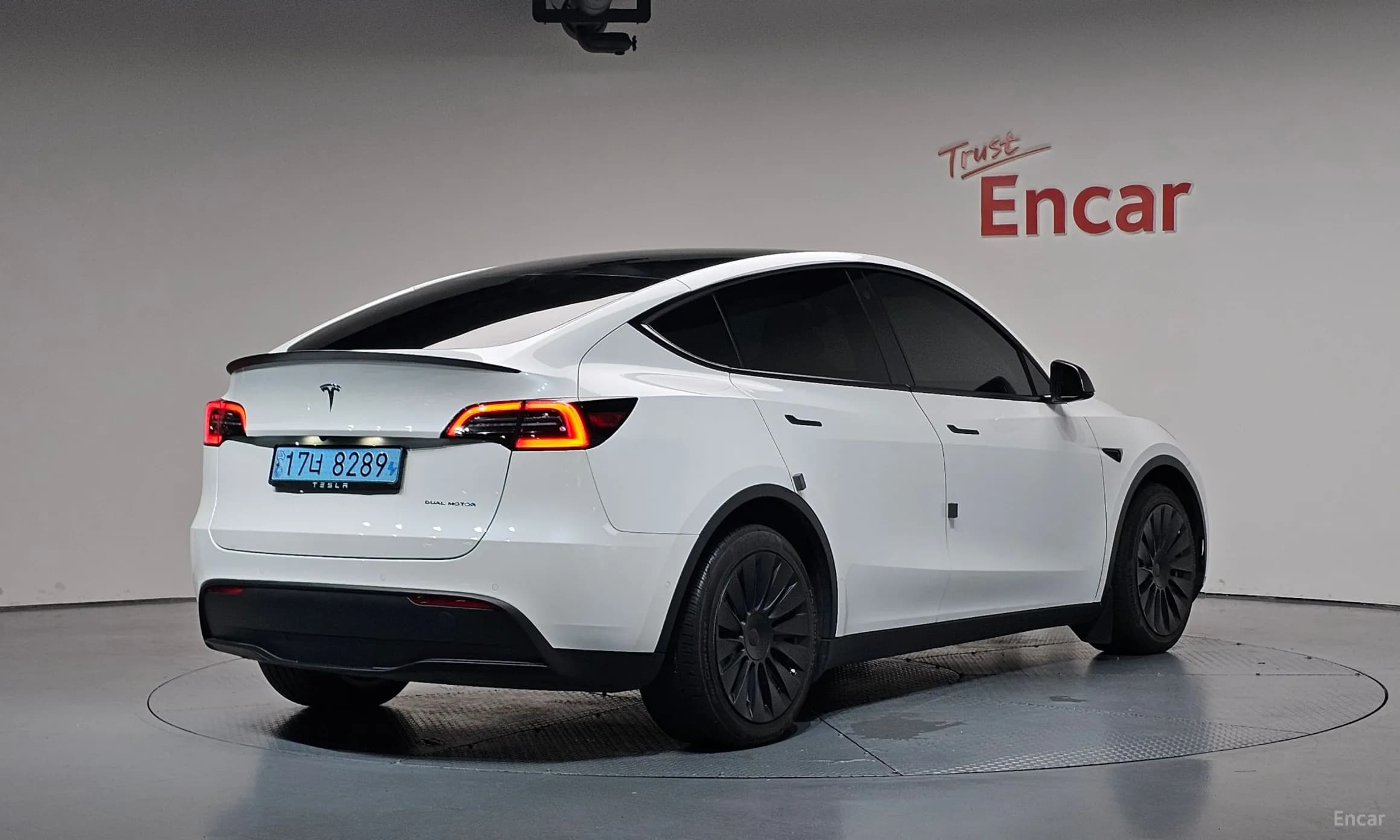 Model Y