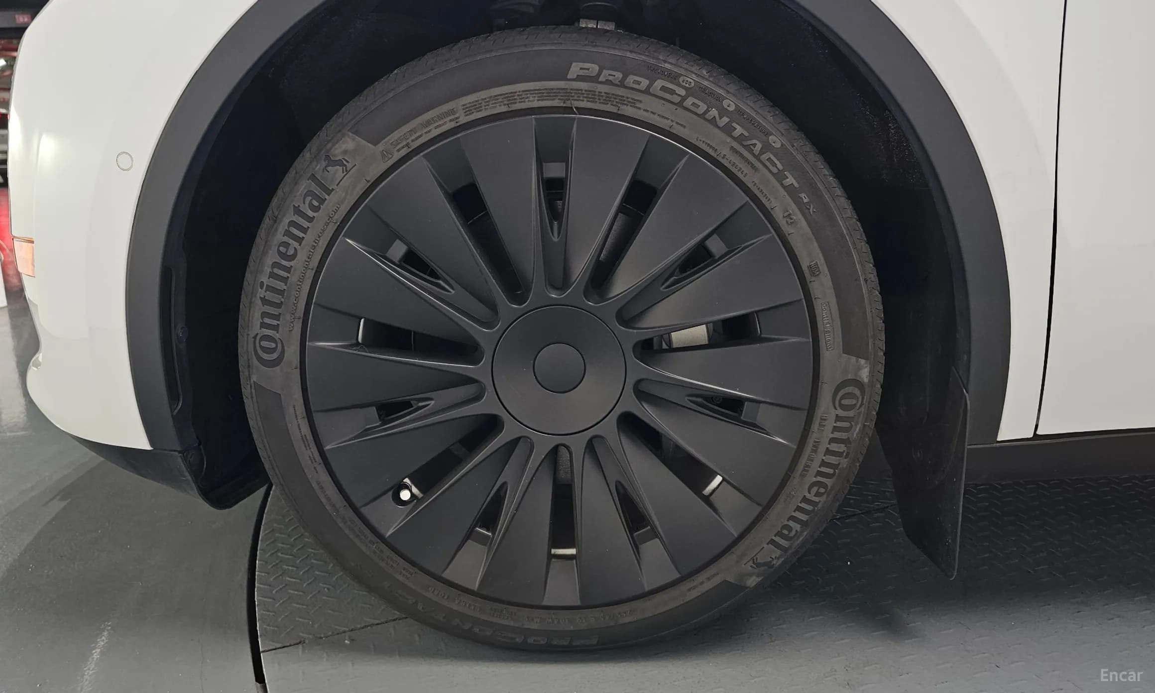 Model Y