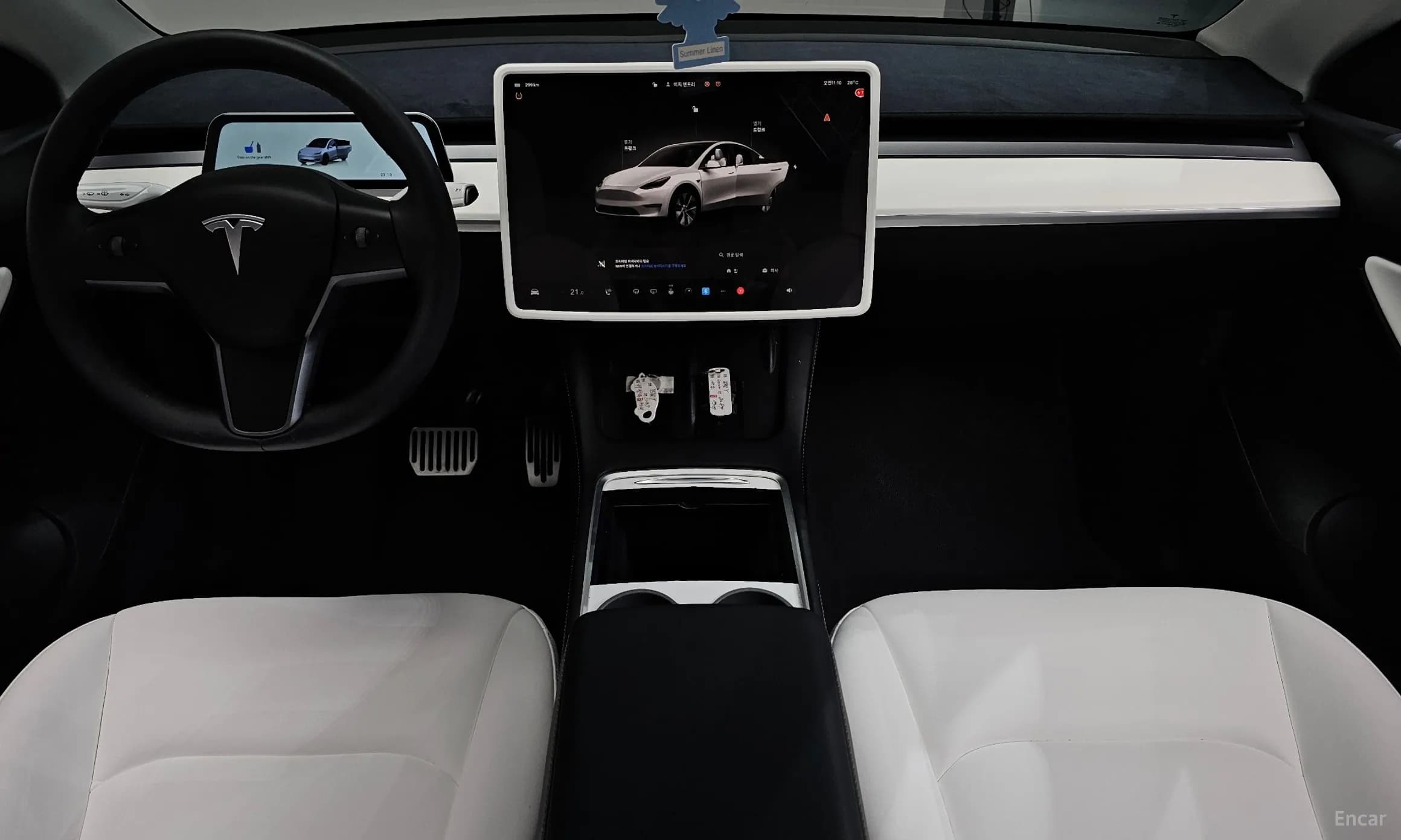 Model Y