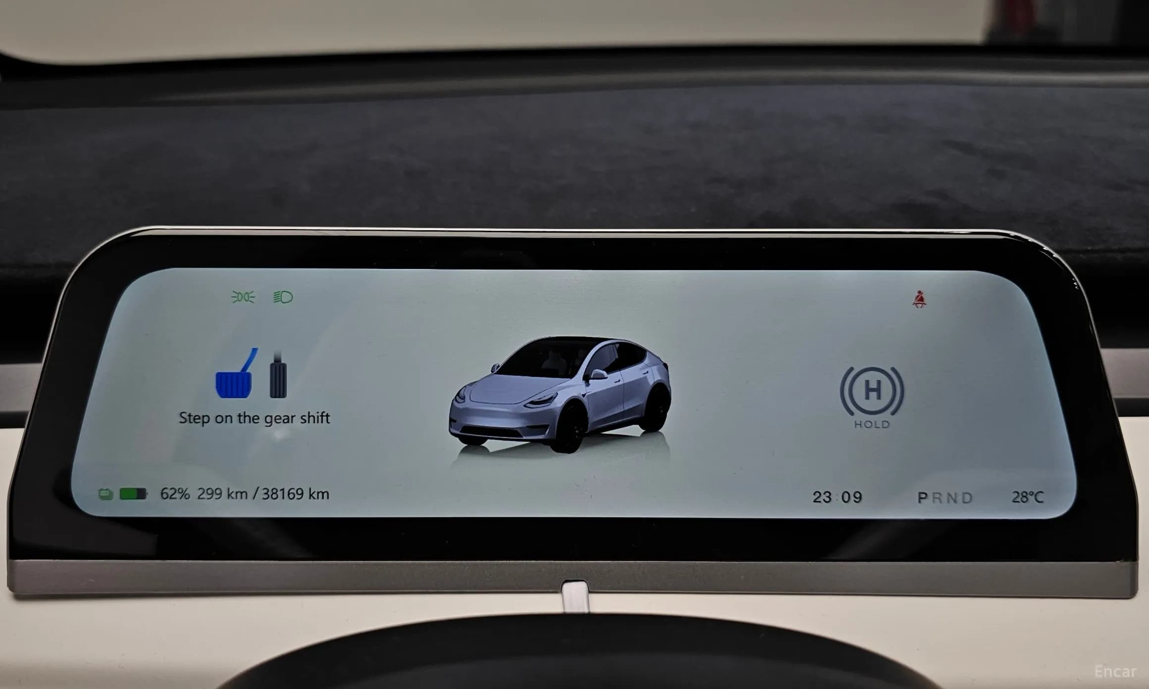 Model Y