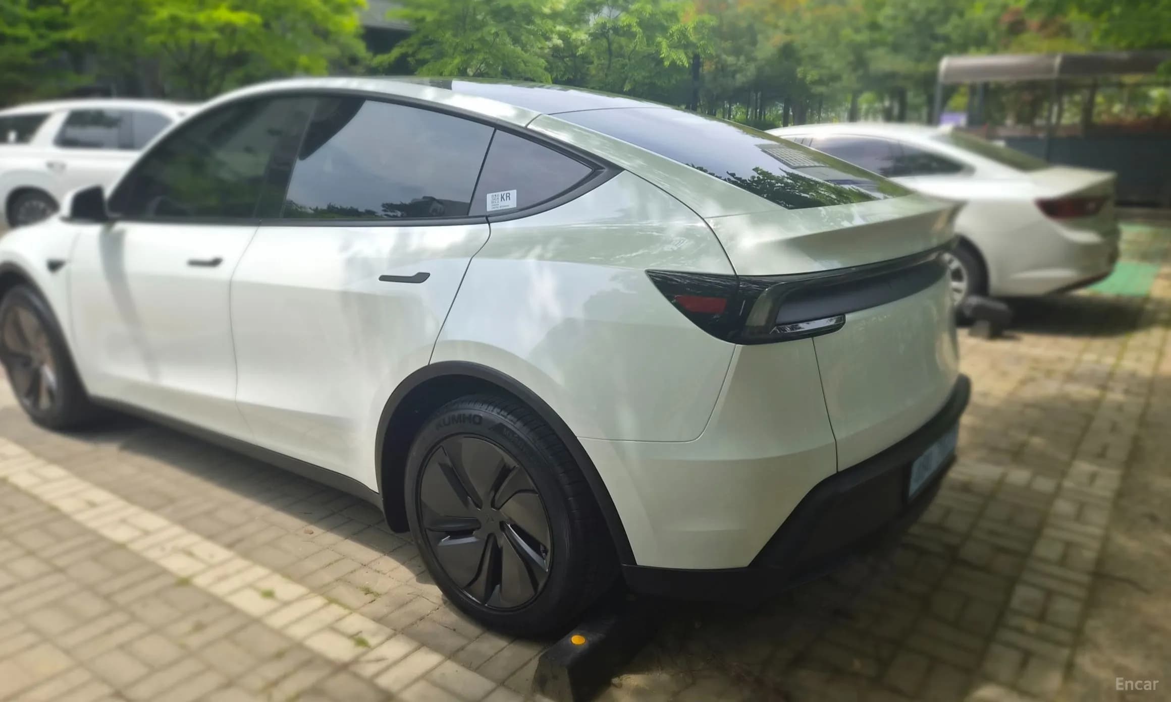 Model Y