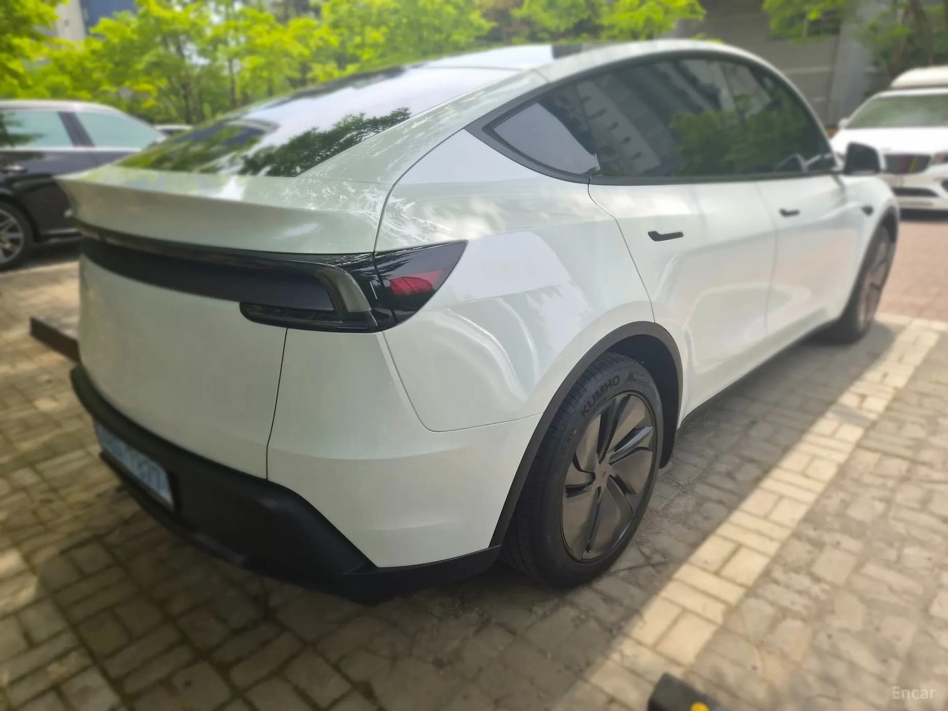 Model Y