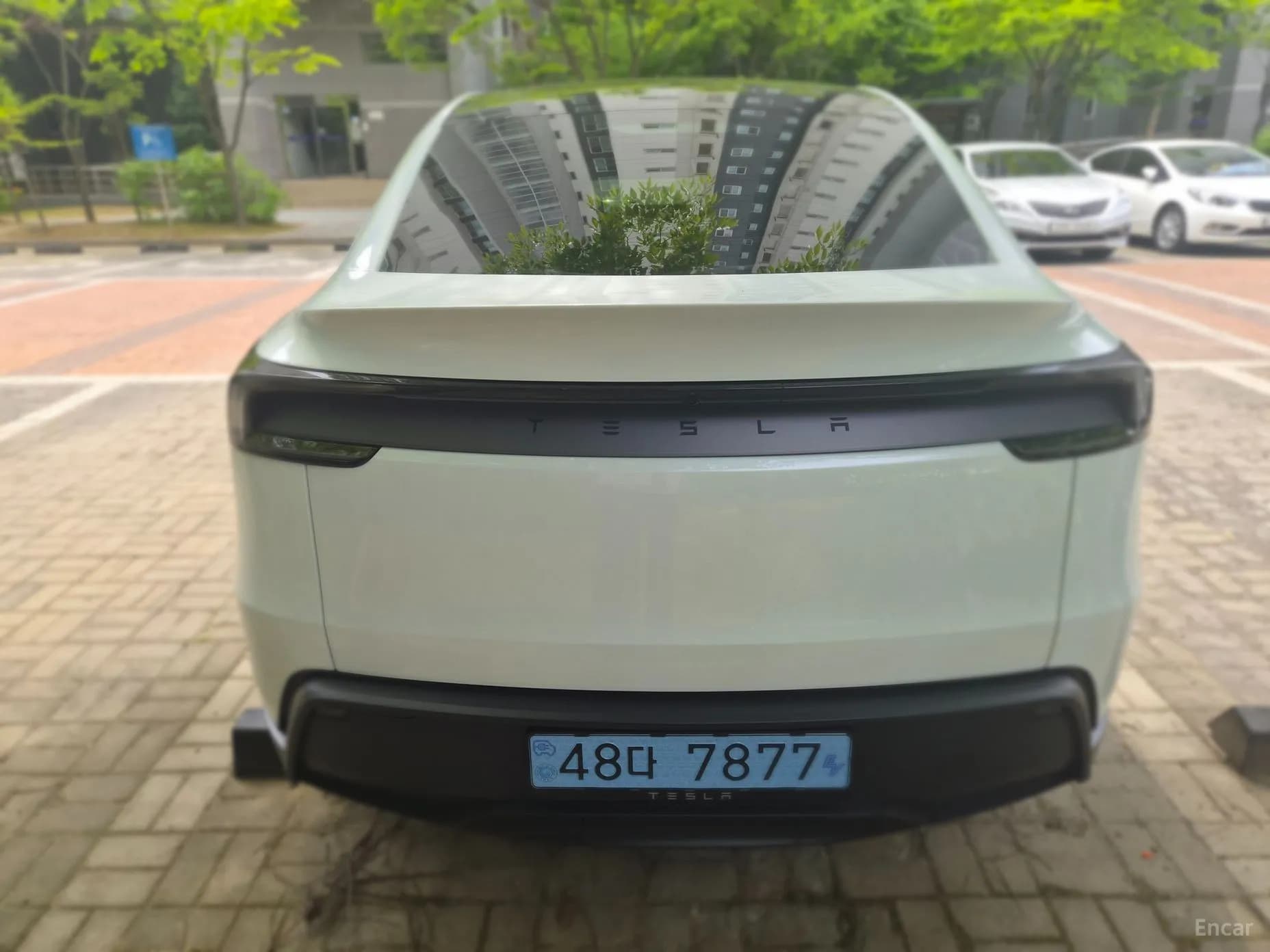 Model Y