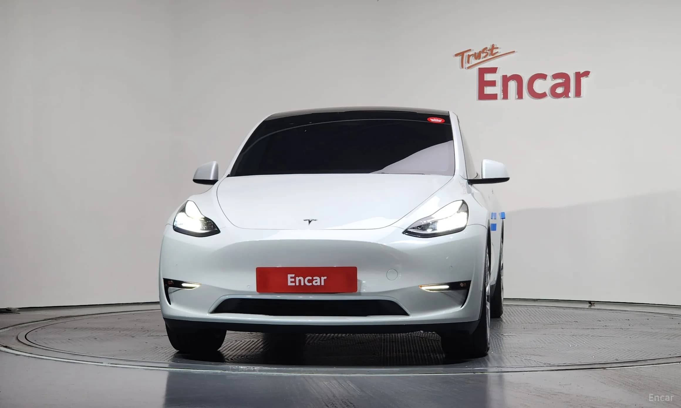 Model Y