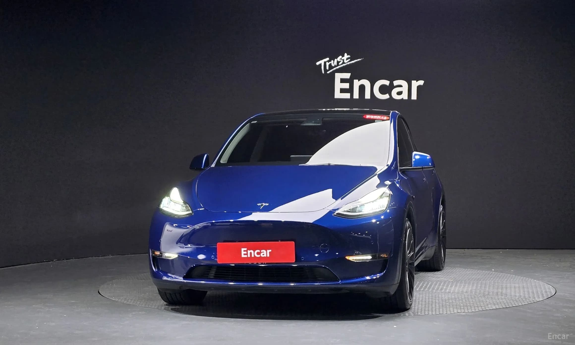 Model Y